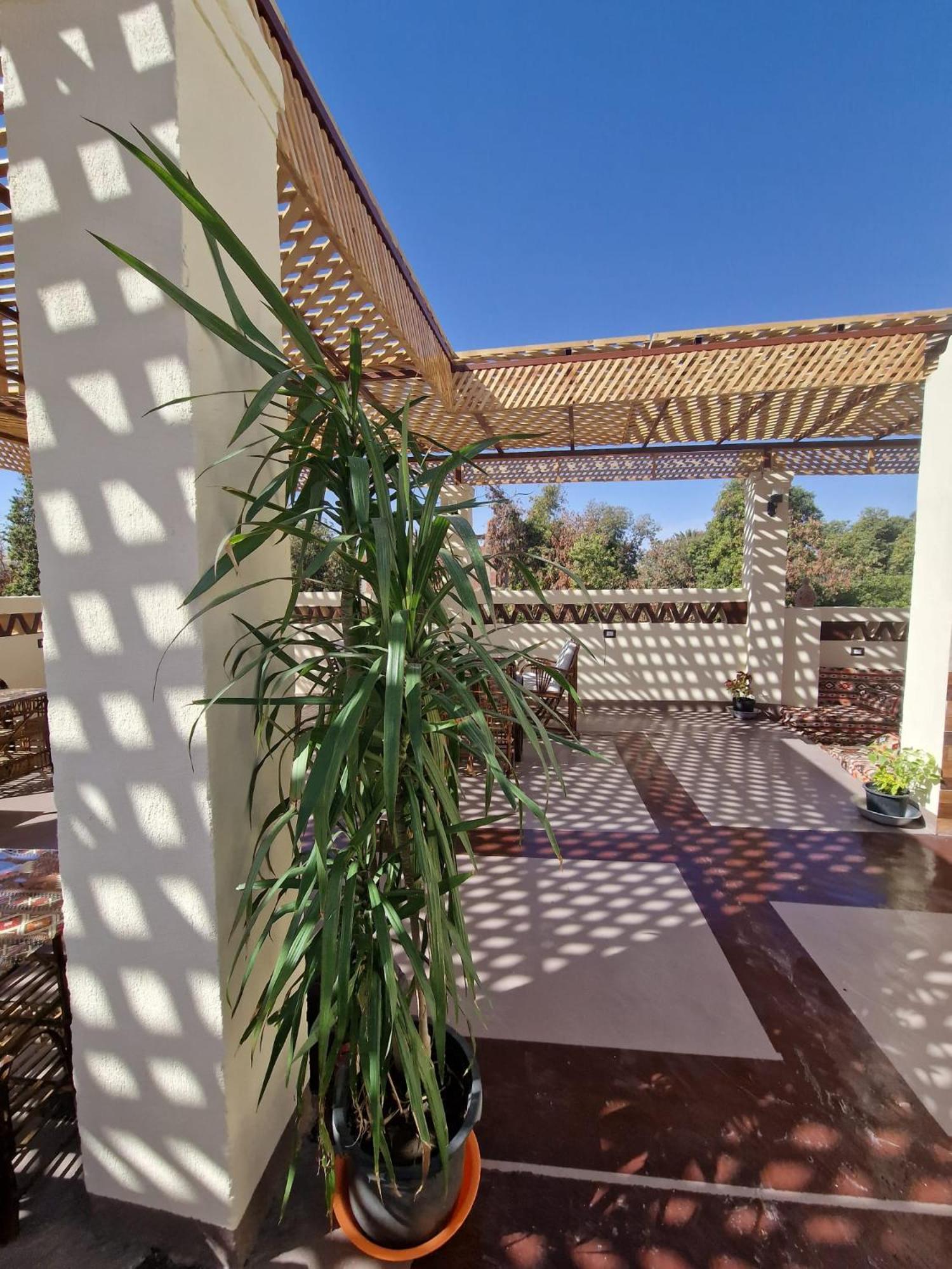 Nubian Soul Guest Houses Assouan Extérieur photo